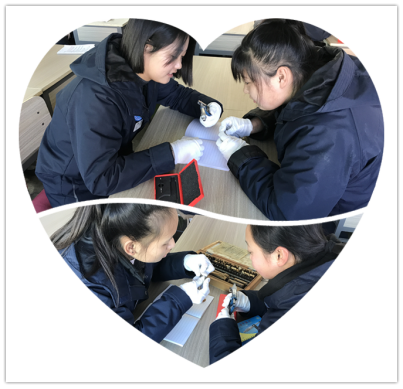 1515372698132821.png 1515372698132821.png